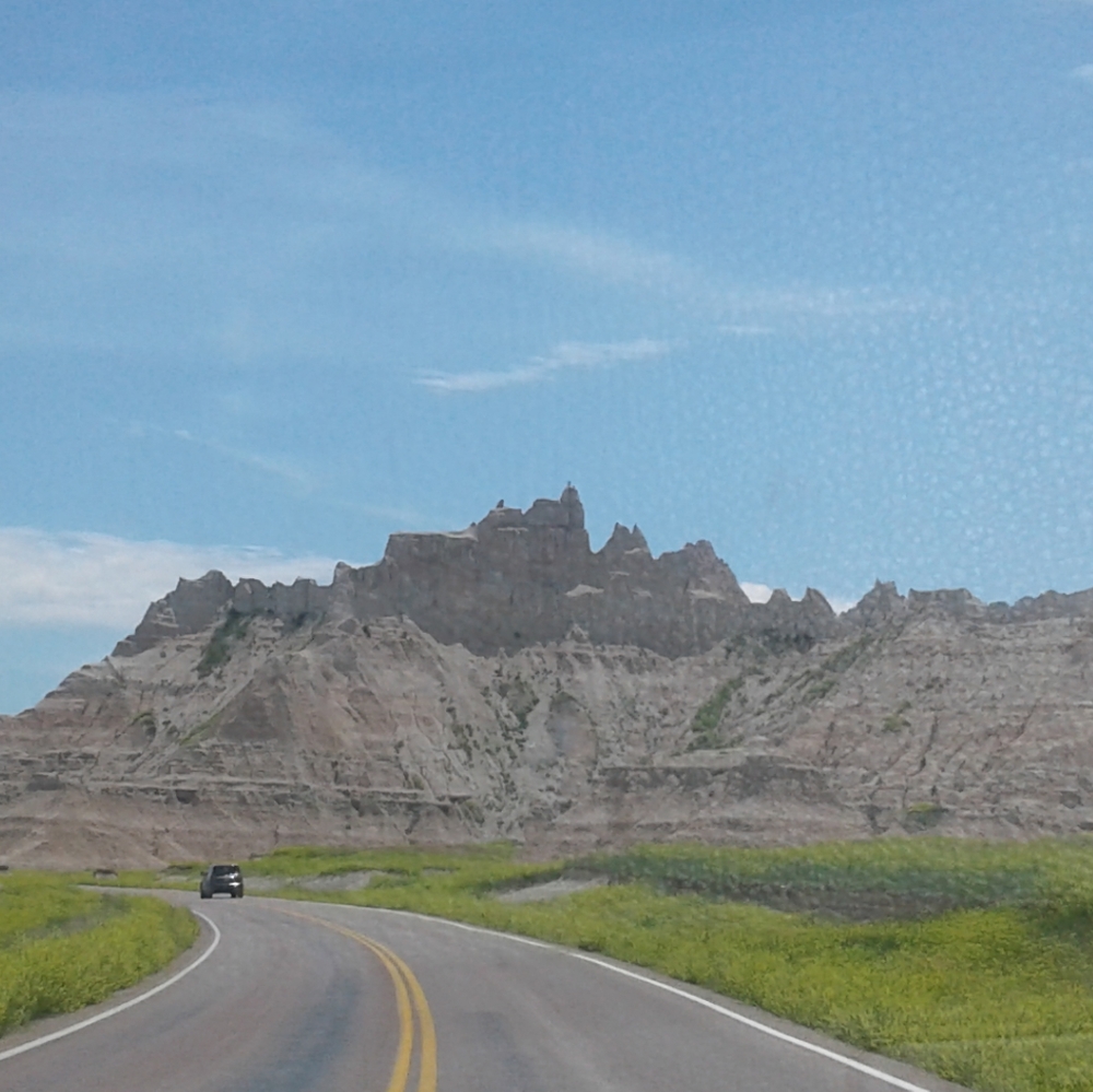 Meet your Posher, Dalilah